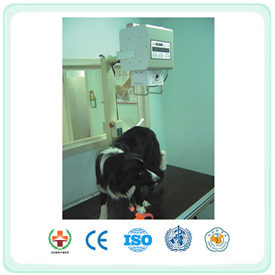 SX-20A High Frequency Portable Veterinary X-ray Machine